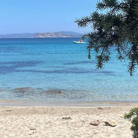 Surf House Mirice Daire Vignola Mare Dış mekan fotoğraf