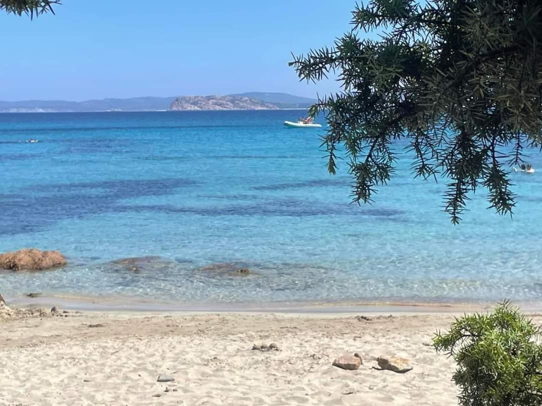 Surf House Mirice Daire Vignola Mare Dış mekan fotoğraf